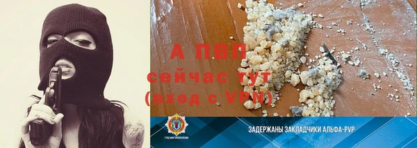 a pvp Бородино