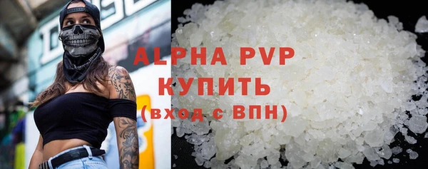 a pvp Бородино