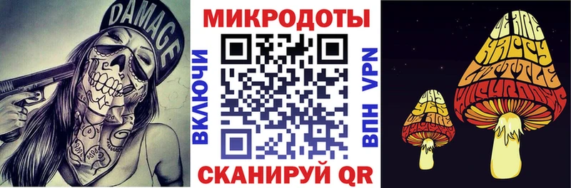Галлюциногенные грибы Psilocybe  это телеграм  Архангельск 